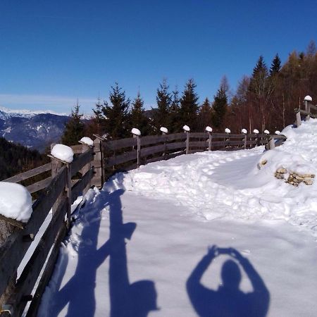 Baita Del Nonno Dei Pitoi Villa Bedollo Exterior foto